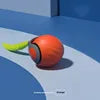 Interactive Indoor Training Pet Toy Active Rolling Ball Smart IQ Automatic Self Mobility Electric Cat Ball With Feather Teaser.