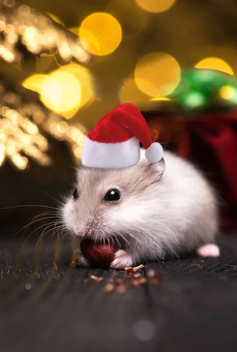 Hamster Guinea Pig Christmas Cap Costume Mini Small Pet Red Hat Xmas Headwear Pet Outfits for Chinchilla Rabbit Hedgehog.