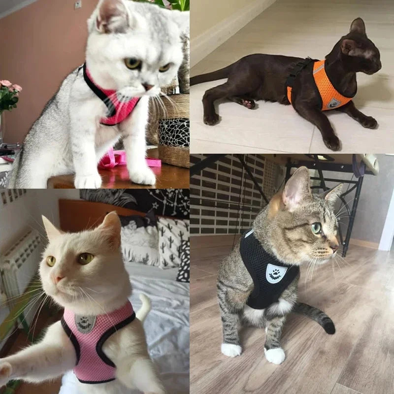 Cat Harness Vest Walking Lead Leash For Puppy Dogs Collar Polyester Adjustable Mesh Dog Harness For Small Medium Pet Accessories.
