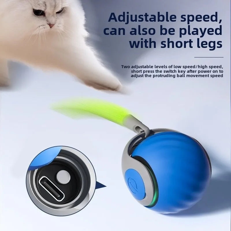 Interactive Indoor Training Pet Toy Active Rolling Ball Smart IQ Automatic Self Mobility Electric Cat Ball With Feather Teaser.