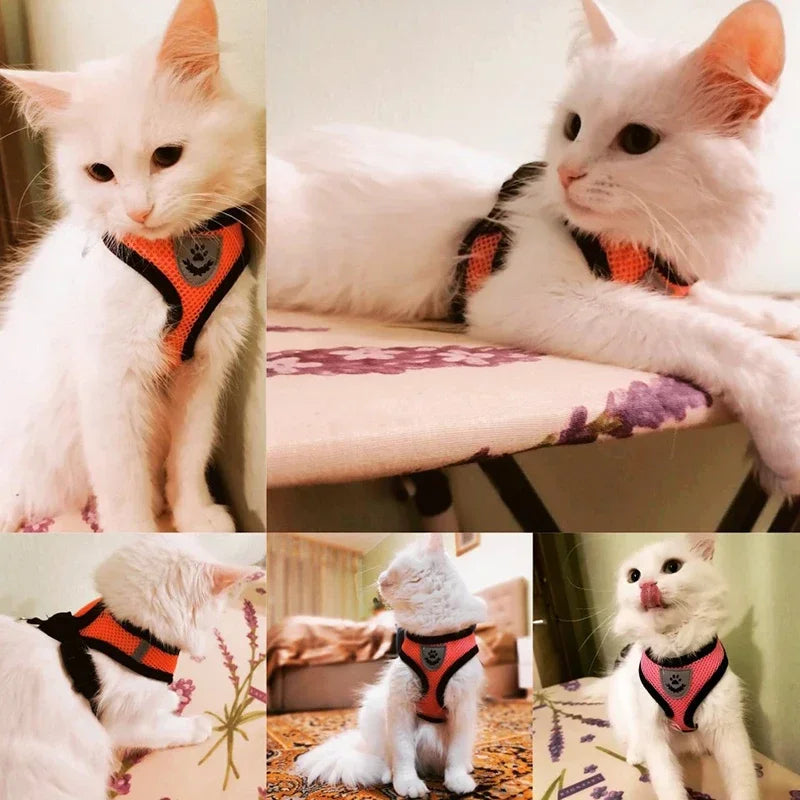 Cat Harness Vest Walking Lead Leash For Puppy Dogs Collar Polyester Adjustable Mesh Dog Harness For Small Medium Pet Accessories.