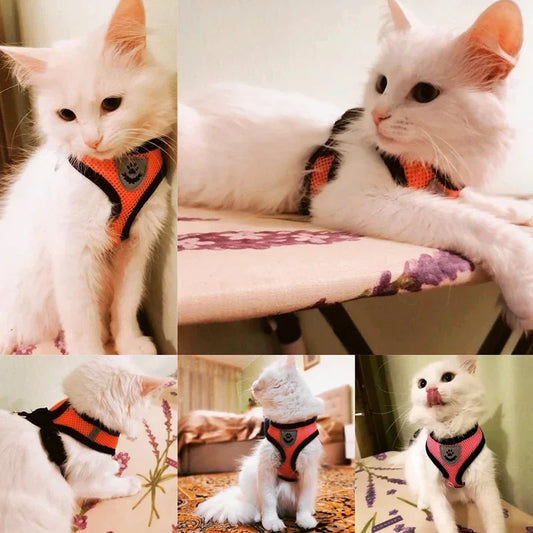 Cat Harness Vest Walking Lead Leash For Puppy Dogs Collar Polyester Adjustable Mesh Dog Harness For Small Medium Pet Accessories.
