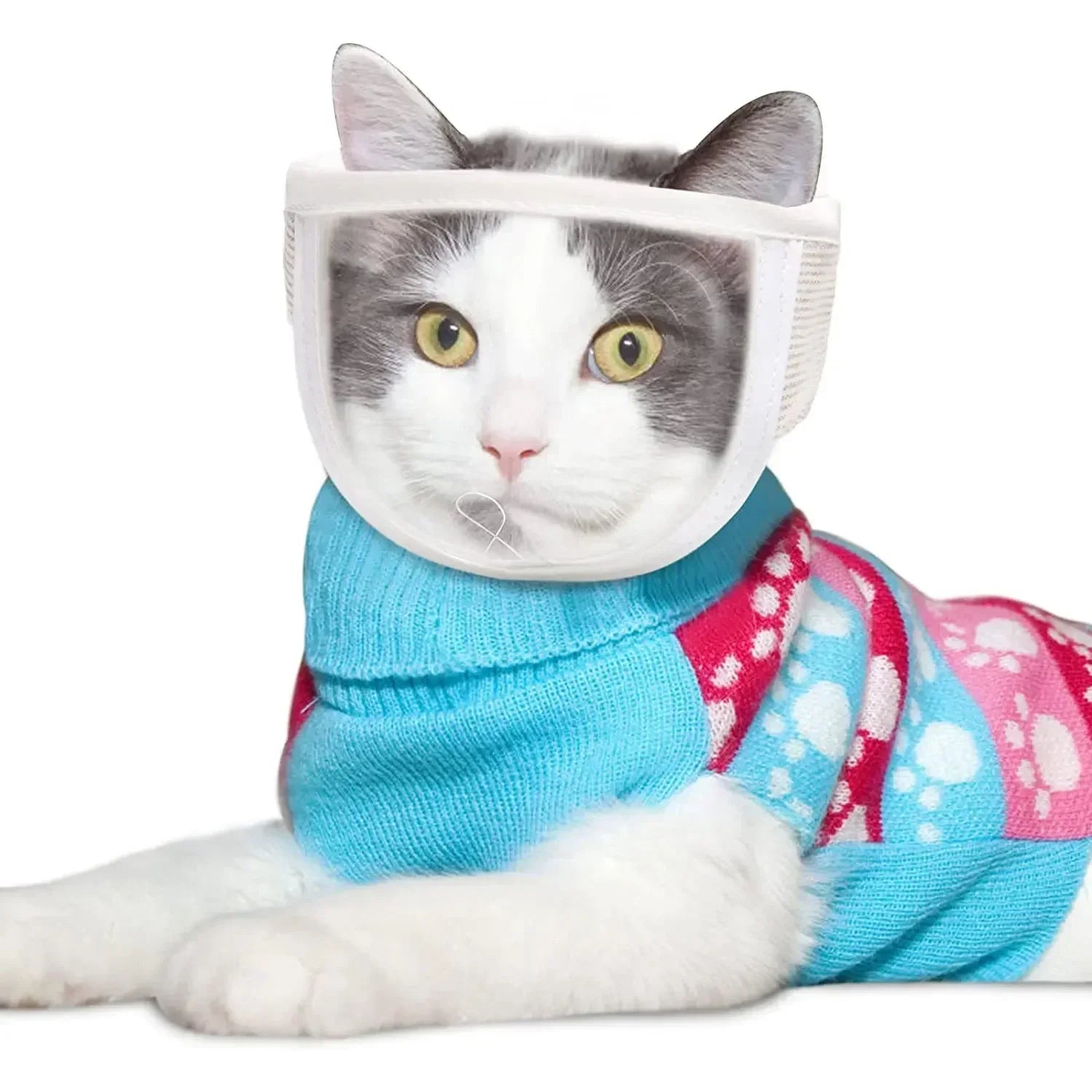 Breathable Clear Cat Muzzle Anti-Bite Grooming Cover Portable Head Hood Cover Cat Grooming Mouth Cover Adjustable Pet Supplies
