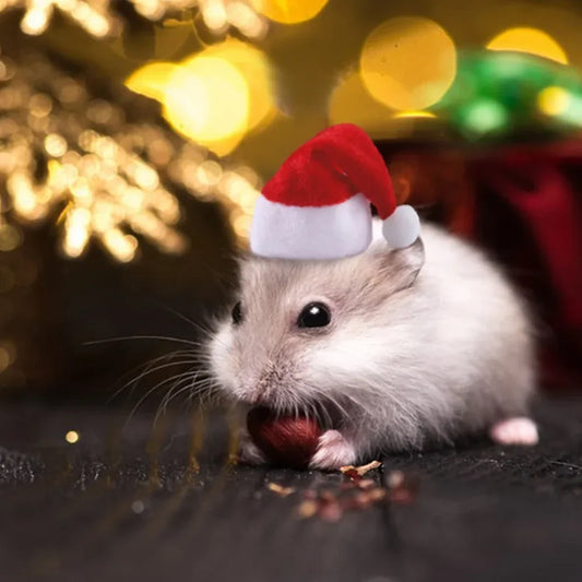 Hamster Guinea Pig Christmas Cap Costume Mini Small Pet Red Hat Xmas Headwear Pet Outfits for Chinchilla Rabbit Hedgehog.