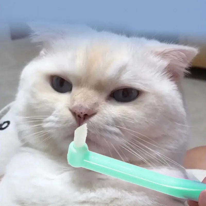 Cat Toothbrush Oral Care Pet